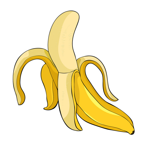 奇异的热带水果是剥了皮的香蕉。矢量图图片下载