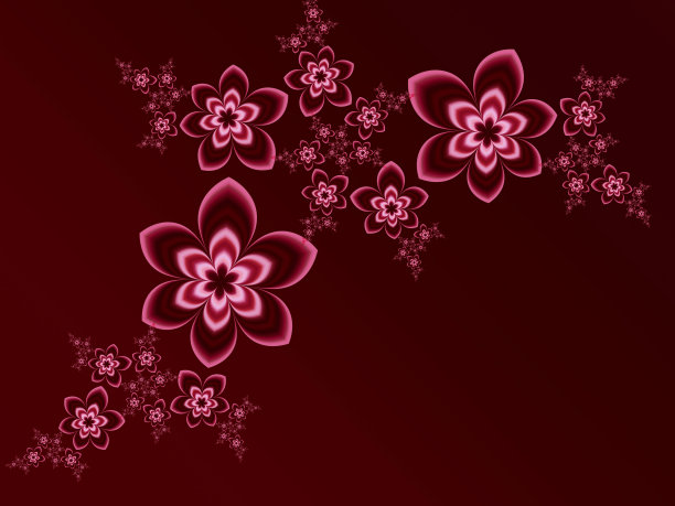 分形花的花环图片下载