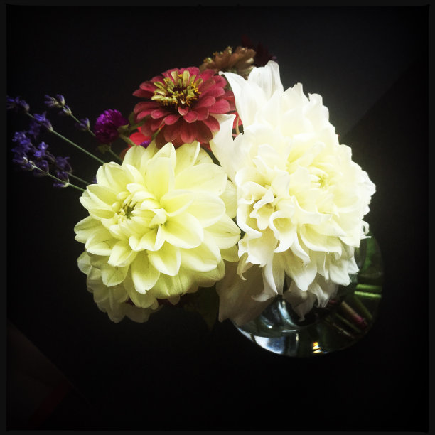 夏天花瓶里的花图片下载