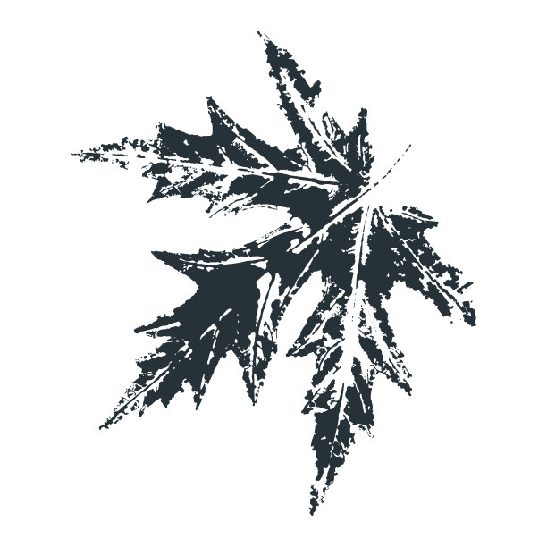 向量叶打印。用墨水把树叶印在纸上图片下载