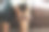 老年妇女在家遭受膝部疼痛，观念健康问题图片下载