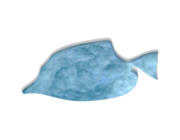 海洋动物插图图片下载