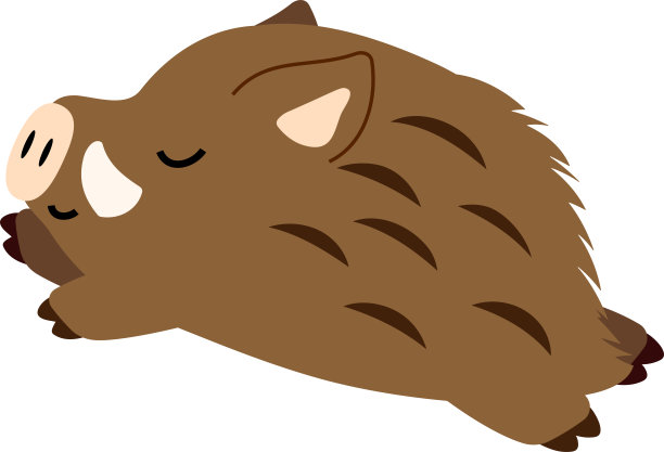 可爱的野猪插图集图片下载