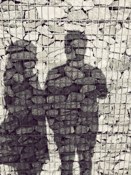 影子会谈图片下载