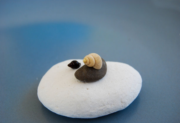 贝壳和石头在海滩组成图片下载