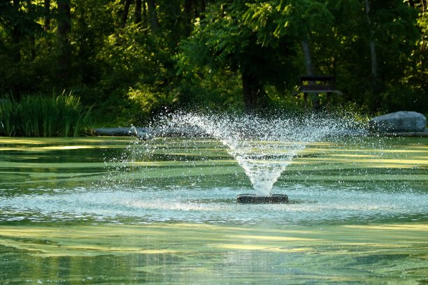 公园池塘的喷泉图片下载