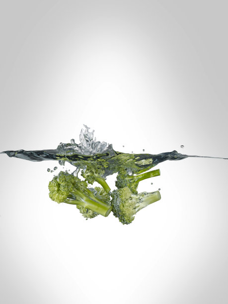 Splasing豌豆图片下载