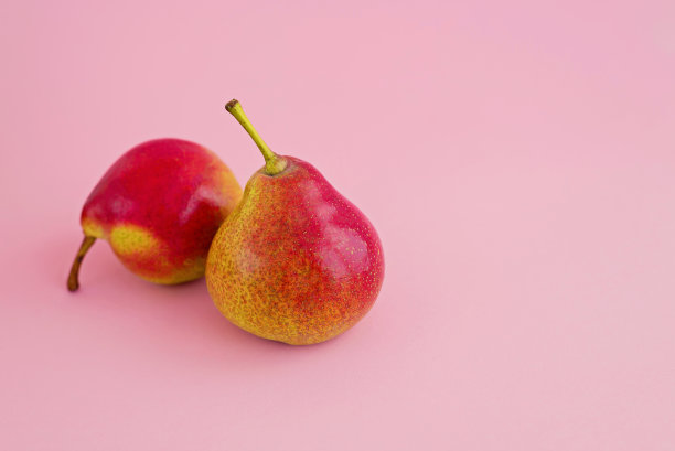 淡粉色背景上的一组黄梨，收获概念图片下载
