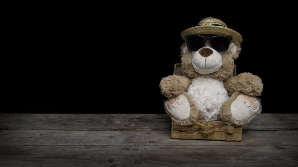 泰迪将verreisen图片下载