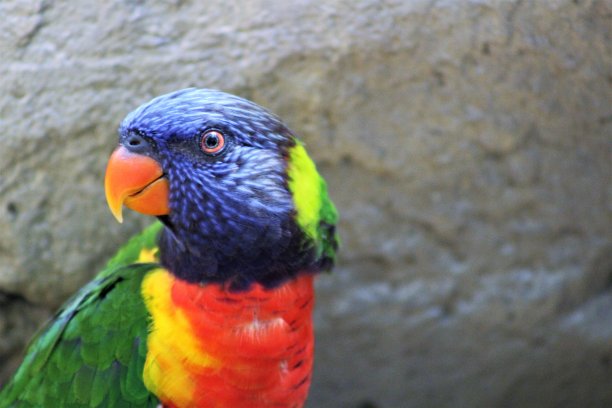 “向左，向左”图片下载