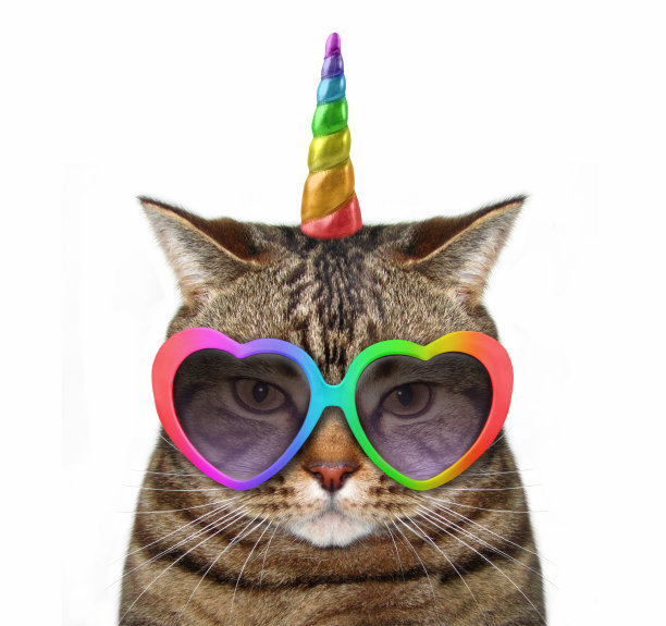 戴眼镜的独角兽图片下载