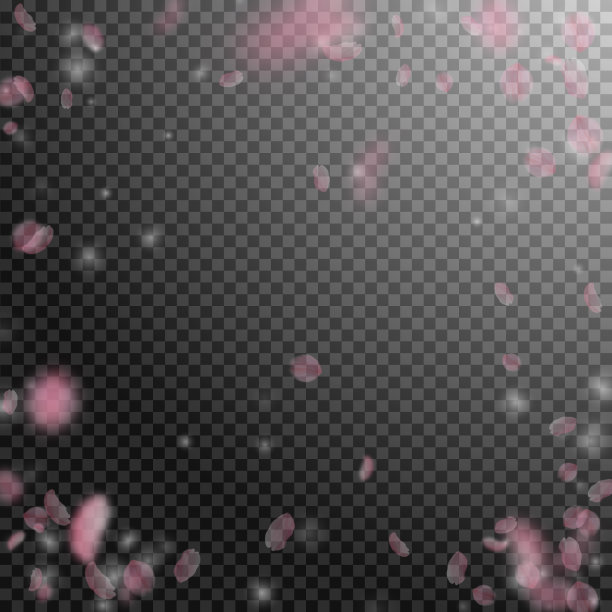 樱花花瓣飘落。浪漫的粉红色花朵小插画。花瓣在透明的方形背上飞舞图片下载