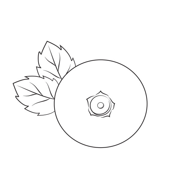 蓝莓插图图片下载