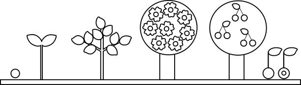 着色页面。樱桃树的生命周期。植物从种子到果实的生长阶段图片下载