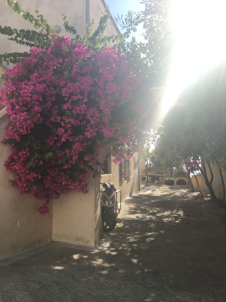 皮尔戈斯视图图片下载