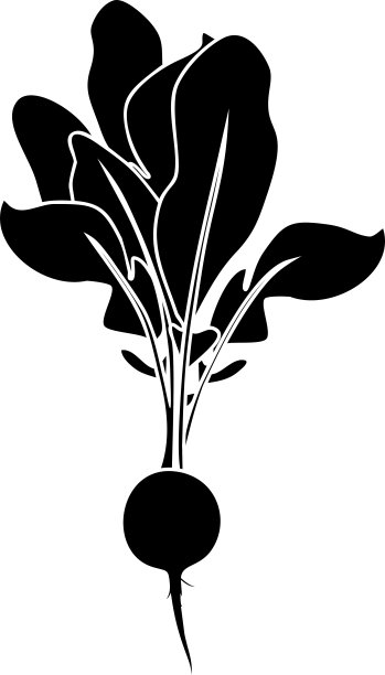 黑色的萝卜剪影图片下载