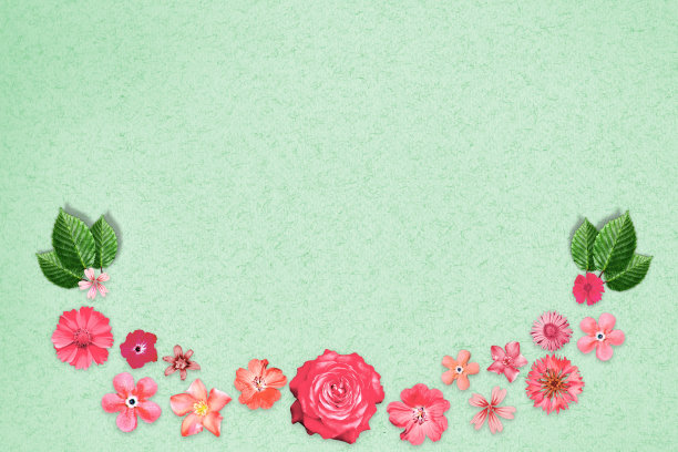 美丽的花设计框架与空在中心在绿色设计纸背景。春天或夏天的花的组成。图片下载