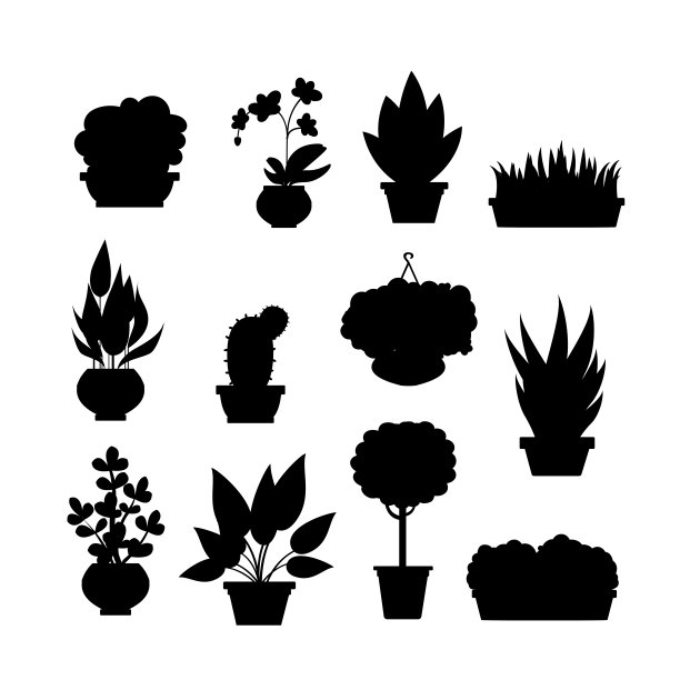 室内植物的轮廓，孤立在白色背景上，图片下载
