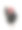 黑母鸡在白母鸡上图片下载