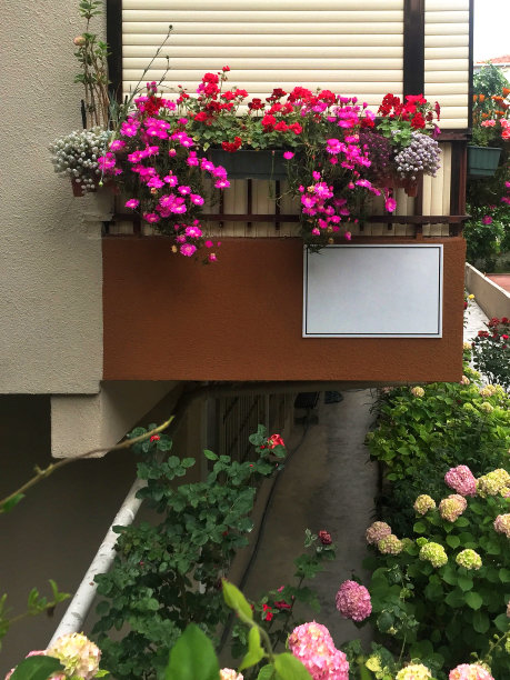阳台用鲜花图片下载