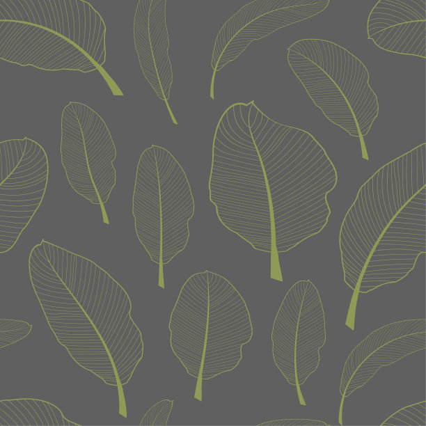 骨架香蕉叶无缝纺织图案。透明的浅绿色叶子孤立在灰色背景。矢量插图。图片下载