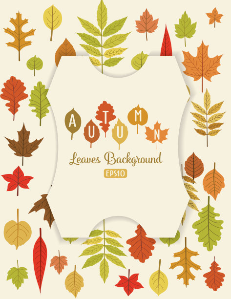 秋叶背景与复制空间图片下载