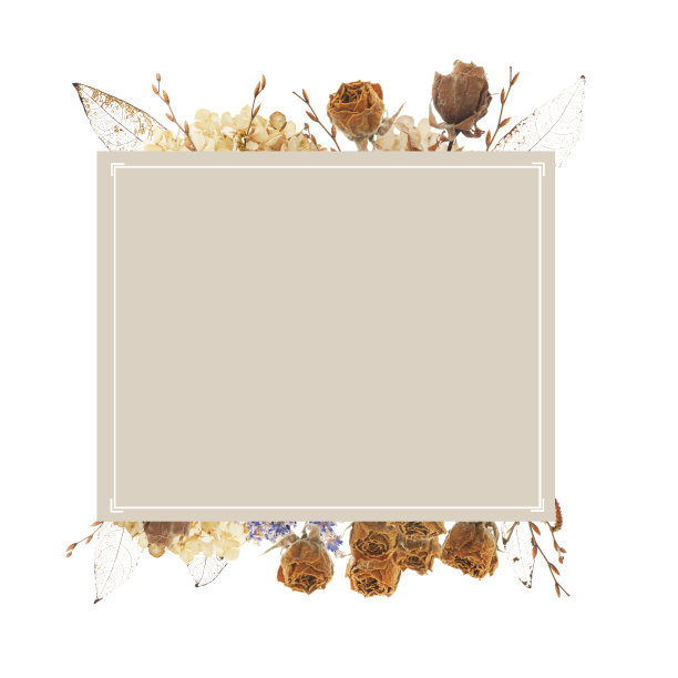 方形框架与干花图片下载