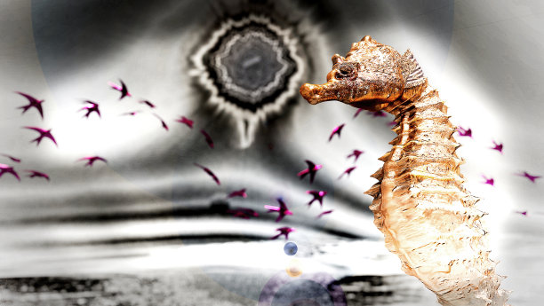 海中金色海马雕塑图片下载