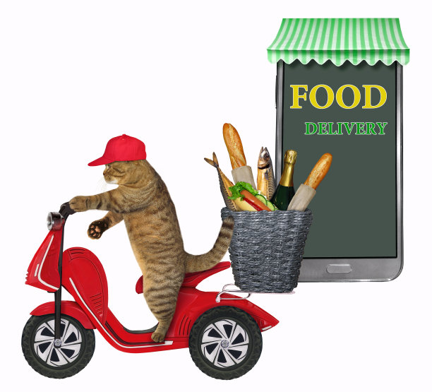 猫骑着助力车送食物图片下载