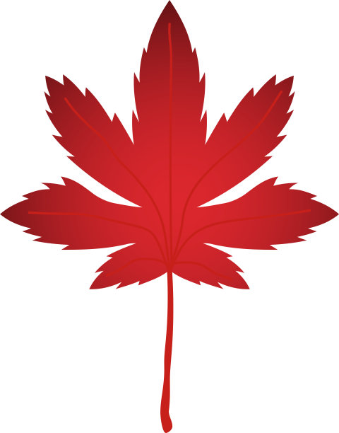 现实的秋叶图片下载