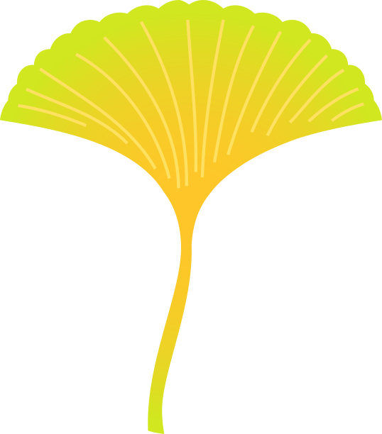 现实的秋叶图片下载