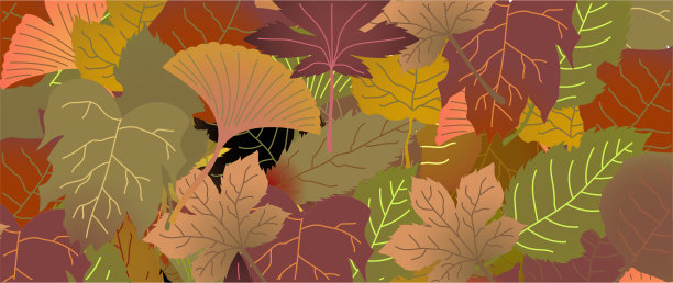 水平落叶背景图片下载