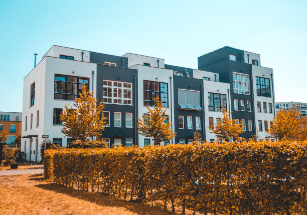 在前景中有灌木丛的联排别墅的房地产图片图片下载