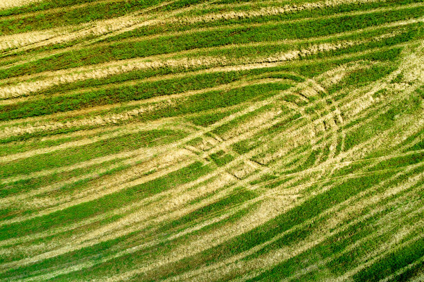 美丽的风景，春天的大自然。意大利托斯卡纳，从山顶俯瞰阳光明媚的田野图片下载