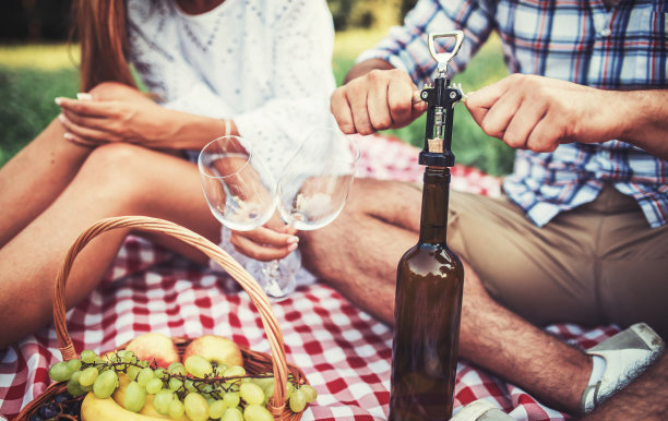 情侣们在公园里享受野餐，特写照片。爱与温柔，约会，浪漫，生活理念图片下载