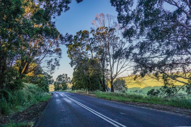澳大利亚内陆的公路图片下载