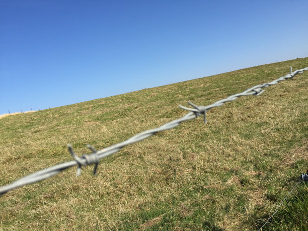 铁丝网图片下载