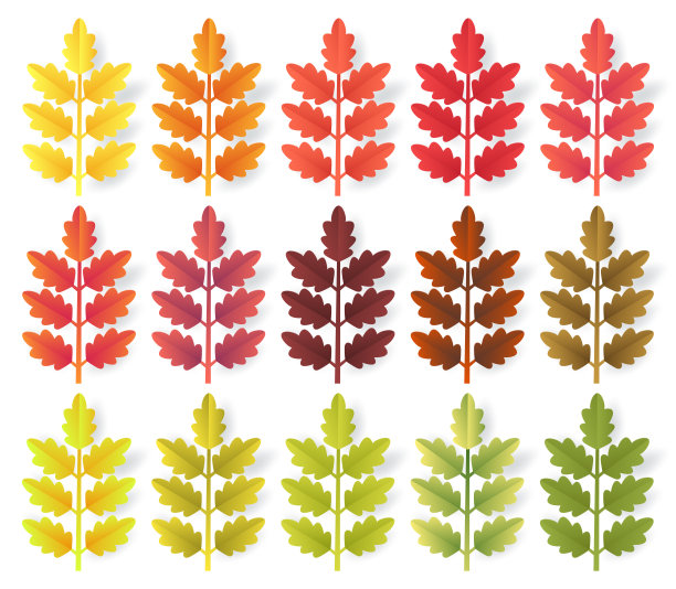 五彩缤纷的秋叶孤立在白色的背景上。剪纸3d平面风格，矢量插图图片下载