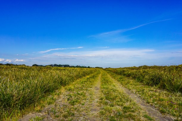 澳大利亚内陆的公路图片下载