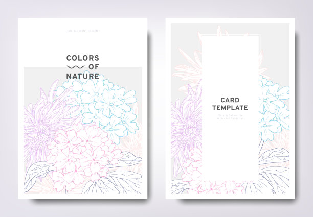 花的问候/邀请卡模板设计，手绘绣球花和小珍妮花与树叶，极简主义的柔和风格图片下载