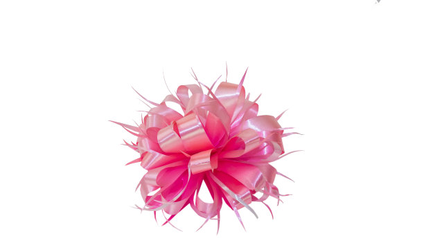 丝带和蝴蝶结装饰礼物或节日活动在白色孤立的背景图片下载