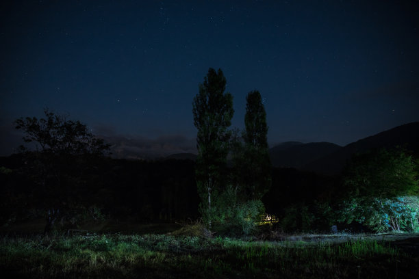 景观的夜森林与绿色草地在明亮的星夜或银河在林地图片下载