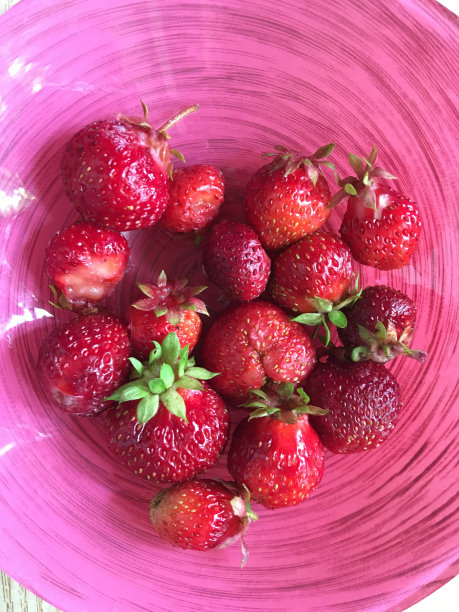 粉红色盘子里的新鲜红草莓图片下载