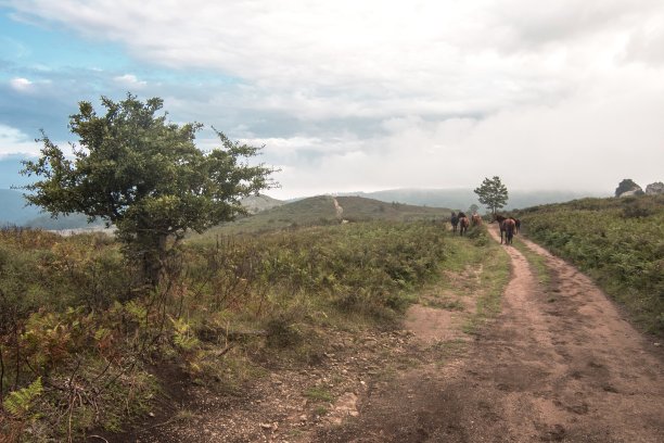 日落时的高原巨石图片下载