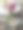 漂亮的人工粉红色兰花装在杯子里。图片下载
