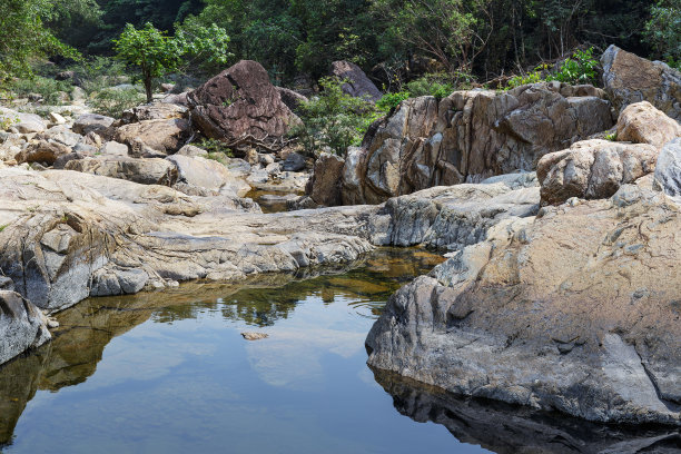 在热带丛林中溪流素材图片