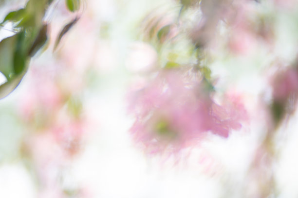 紫色花朵在水中倒影的抽象照片图片下载