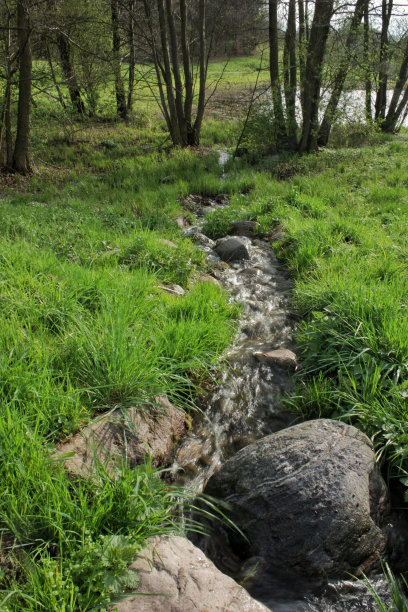 有弹力的弹簧图片下载