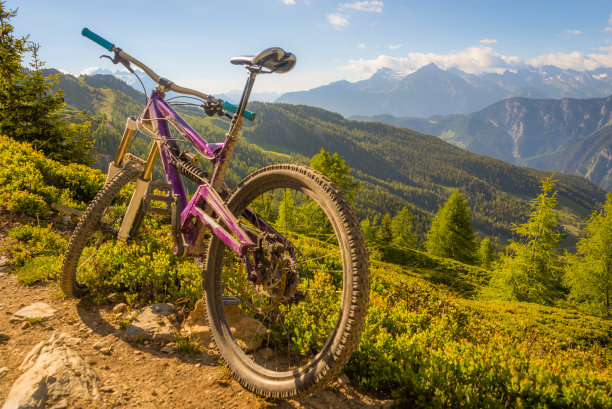 山地自行车道瑞士图片下载