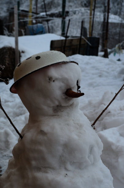 房子后院里的雪人图片下载